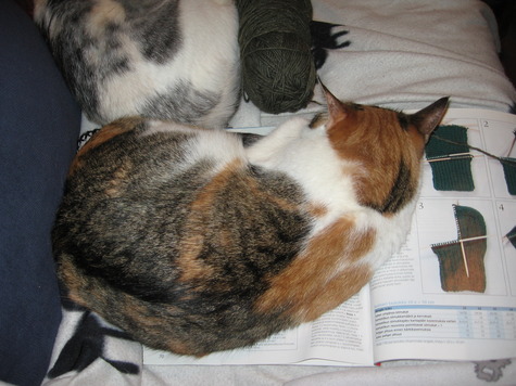 20110303_016_large