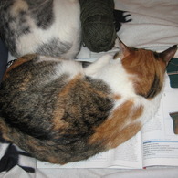 20110303_016_listing