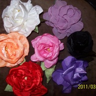 100_3875_listing