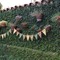 Wild1_grid