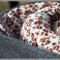 Imgp1145_grid
