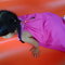 Img00027-20110219-1439_grid