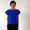 Shirtfront_grid