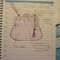 P1010095_grid