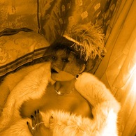 Img_49761_listing