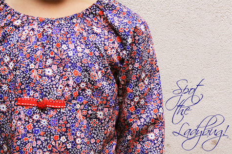 Libertyladybug3_large