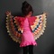 Wings4_grid