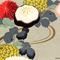 Kiku_grid