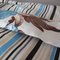 Baby_5_grid