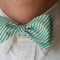 Greenbowtie_grid