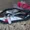 Dscn1297_grid
