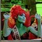 Beetlejuice_miss_argentina_fire_cape_grid