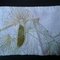 Dsc00551_grid