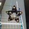 07042011_003_grid