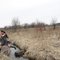 _dsc0170_grid