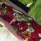 Dscn3906_grid