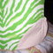 Img_0005_grid