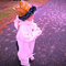 Colin_max_grid