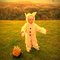 Colly_max_7_grid