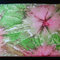 New_mac_cover2_grid