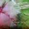 New_mac_cover_4_grid