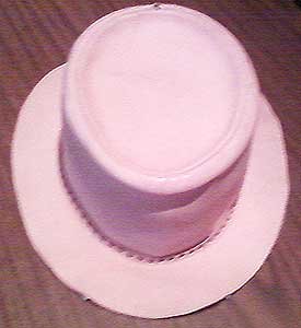 Hatpic3_large