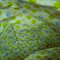 Dscn1368_grid