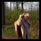 Lindsey_3_grid