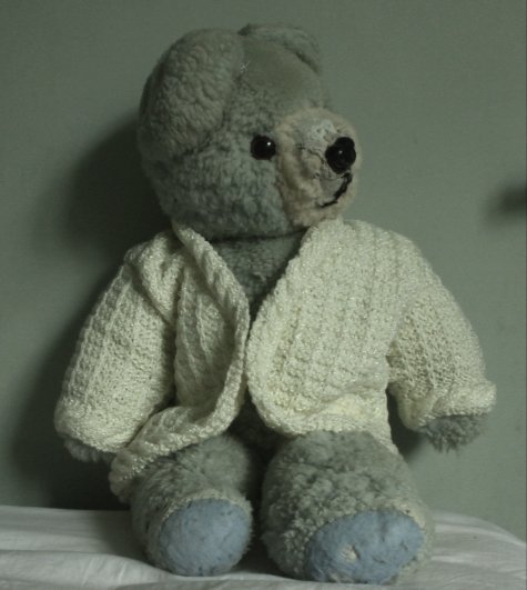 Bluebear_large