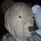 Dscf6325_grid