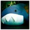 Shark_1_grid