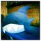 Shark_3_grid