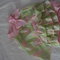 Dsc02957_grid