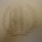Dsc04199_grid