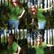 Fertige_collage_gro_a_grid