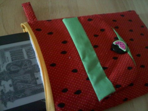Kindlecase_large