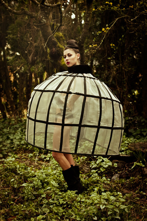 Boned_cage_large