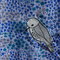 Dscn4507_grid
