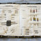 Needle_case6_grid