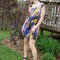 Dsc04155_grid