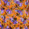 Sasha_close_grid