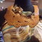 2050_1231maddie0076_grid