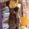 2050_1231maddie0075_grid