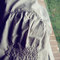Caspshirt5_grid