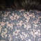 Imported_photos_000032_grid