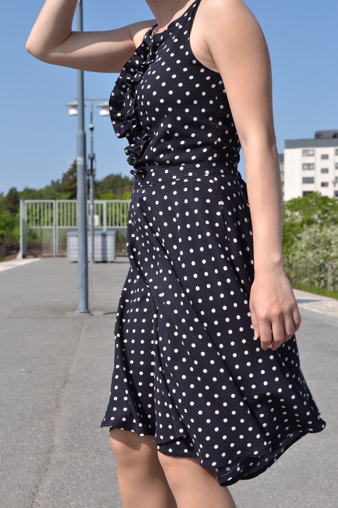 Dsc_0039_large