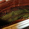 Dsc_3368_grid