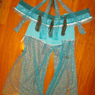 Blue_costume_listing