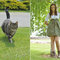 Wild_grid