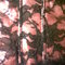 Img03161-20110604-2108_grid